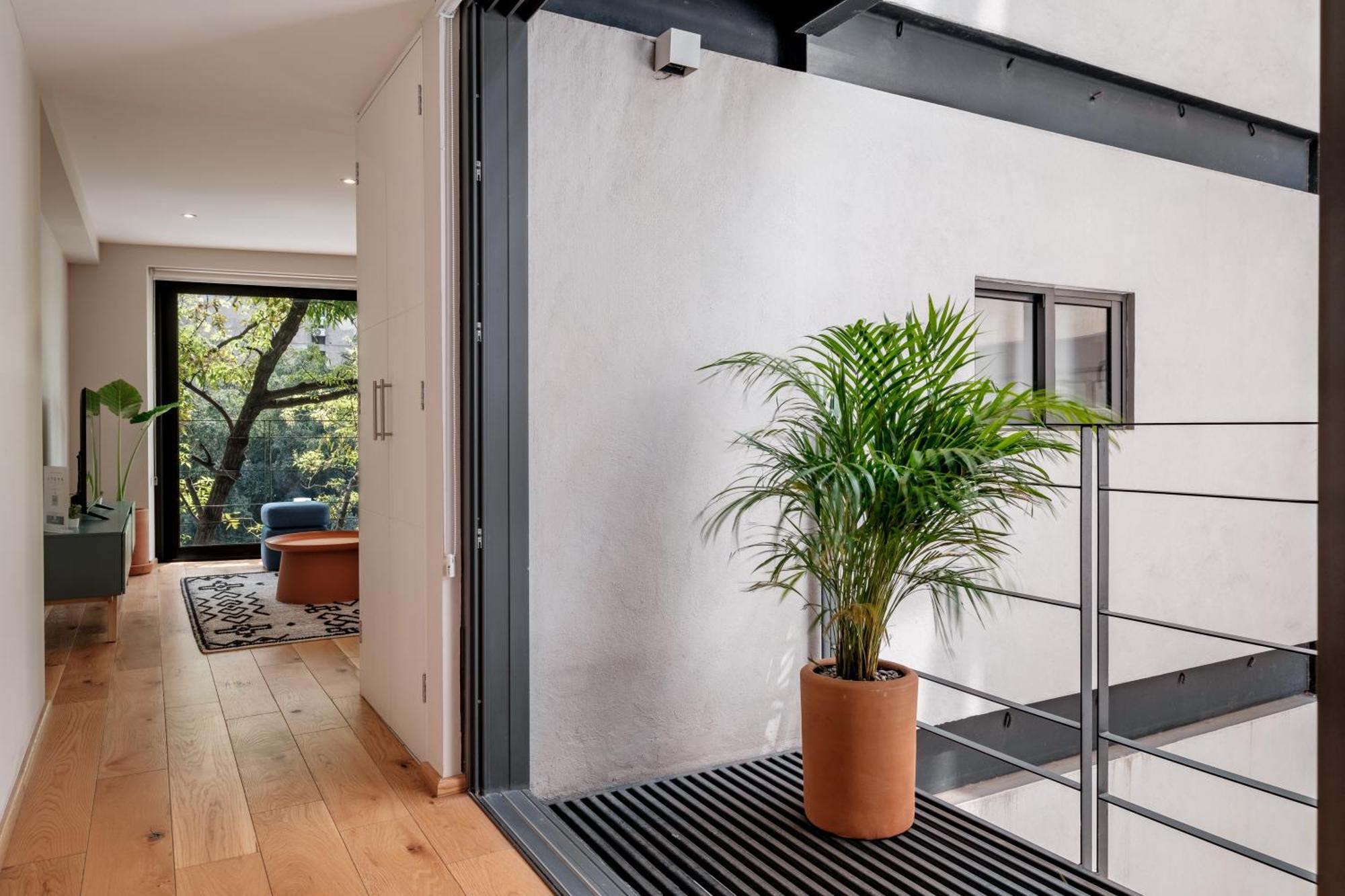 Modern Apartments La Condesa Pet Friendly เม็กซิโกซิตี้ ภายนอก รูปภาพ